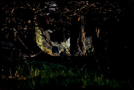 Lux et Nox, Bill Henson